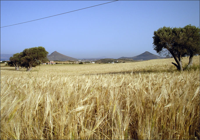 Landscape near Prodromos